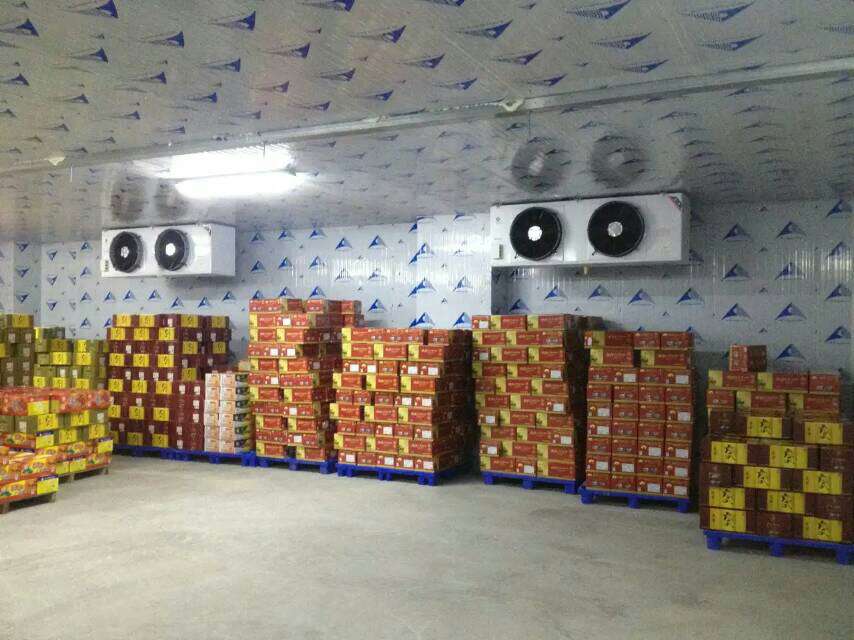 冷库设计方案
