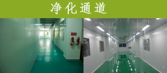 无菌实验室 净化通道很重要