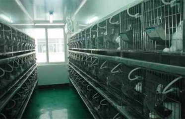 动物实验室工程好做吗？
