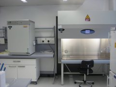 什么叫P2实验室？